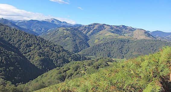 MONTAGNE BASQUE – Appel à projets de l’Agglo : Gure Ondare Naturala